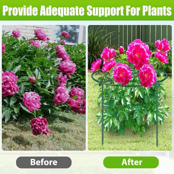 Oyezvary 16 in. H Green Heavy Duty Metal Peony Cages and Supports