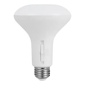 10w es bulb