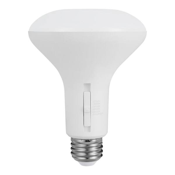 single bulb br30