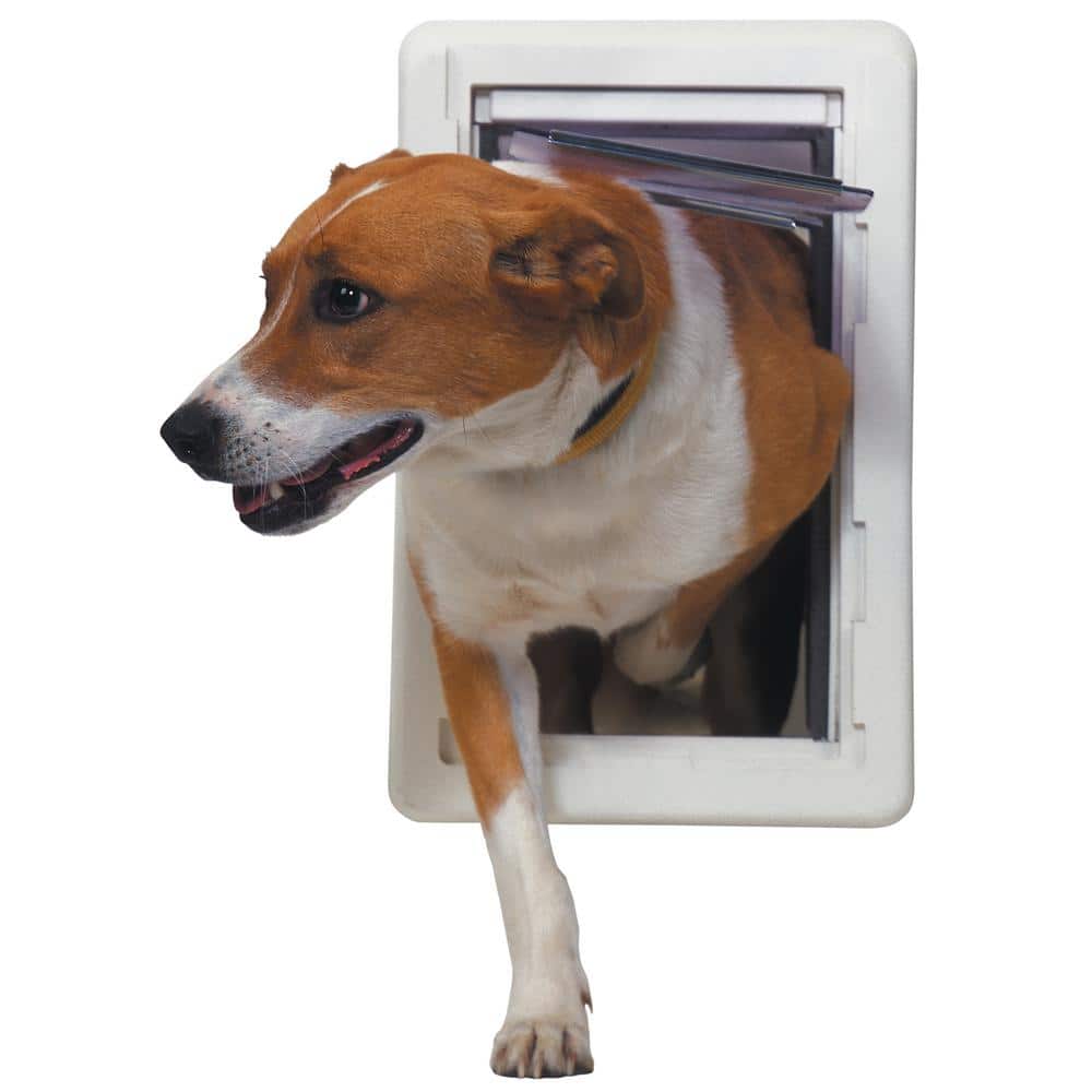 Medium White Vinyl Dual Flap Pet Door with Lock