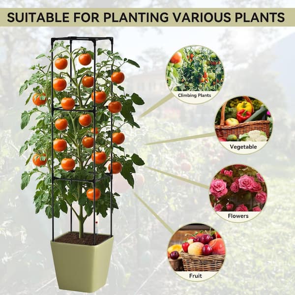 large indoor plant pots with drainage LE TAUCI 12 Inch Pots for Plants, Ceramic Large Planters for Indoor Pl   LETAUCI