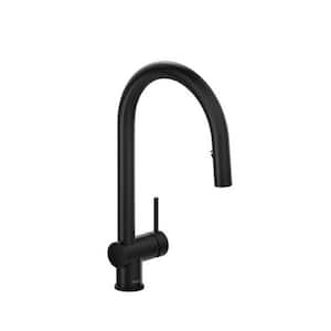 Azure Single Handle Pull Down Sprayer Kitchen Faucet with Gooseneck in Black