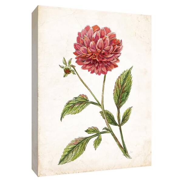 PTM Images 12 in. x 10 in. ''Scarlet Botanical I'' Canvas Wall Art