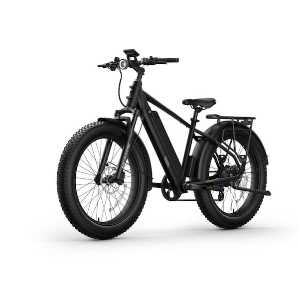 BQi Fat Tire 300 Step-Over Adult Electric Bicycle