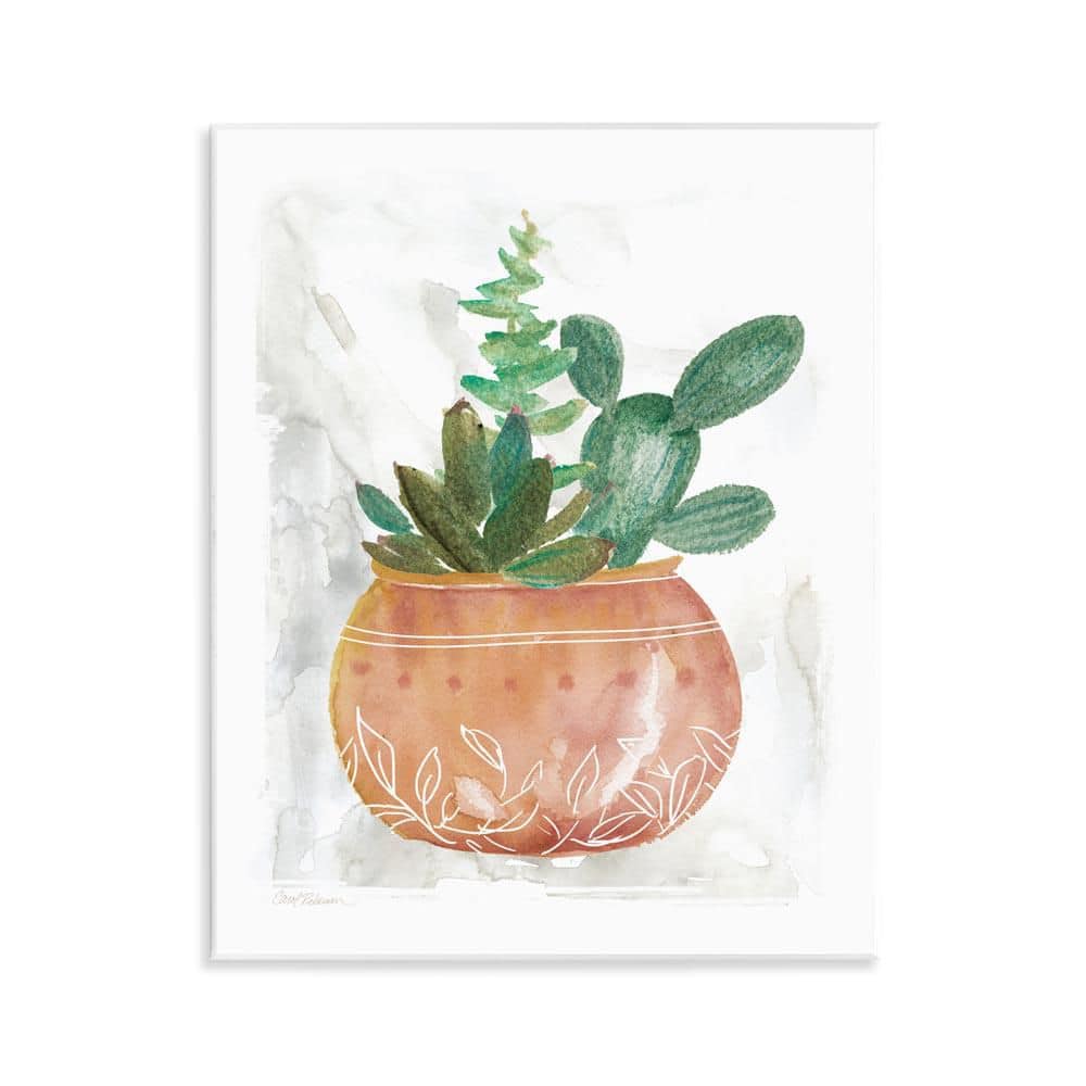 Succulent Planter Vase by Carol Robinson Unframed Nature Graphic Art Print 14 in. x 11 in. price history on PriceWatchPro