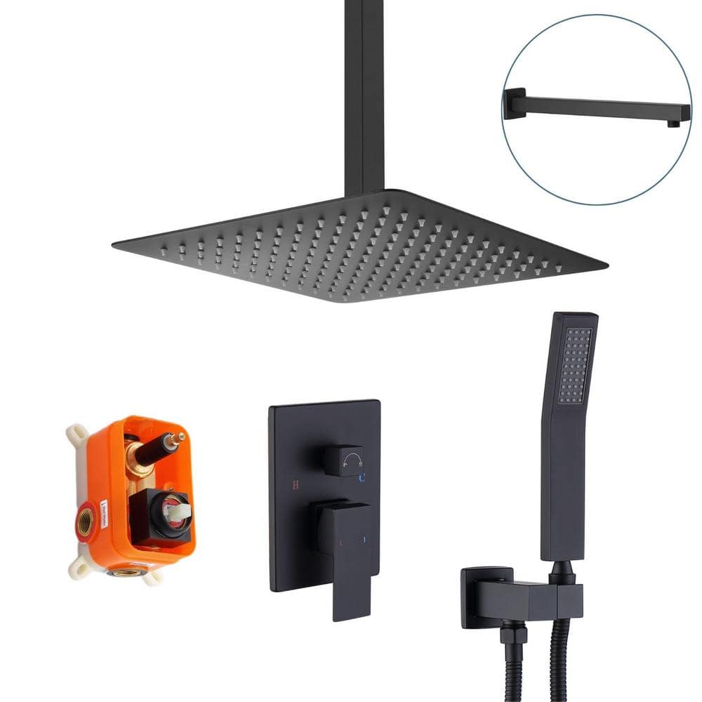 waterpar 1-spray 10 in. Ceiling Mount Dual Shower Head with Wall Mount Arm Fixed and Handheld Shower Head 2.5 GPM in Black