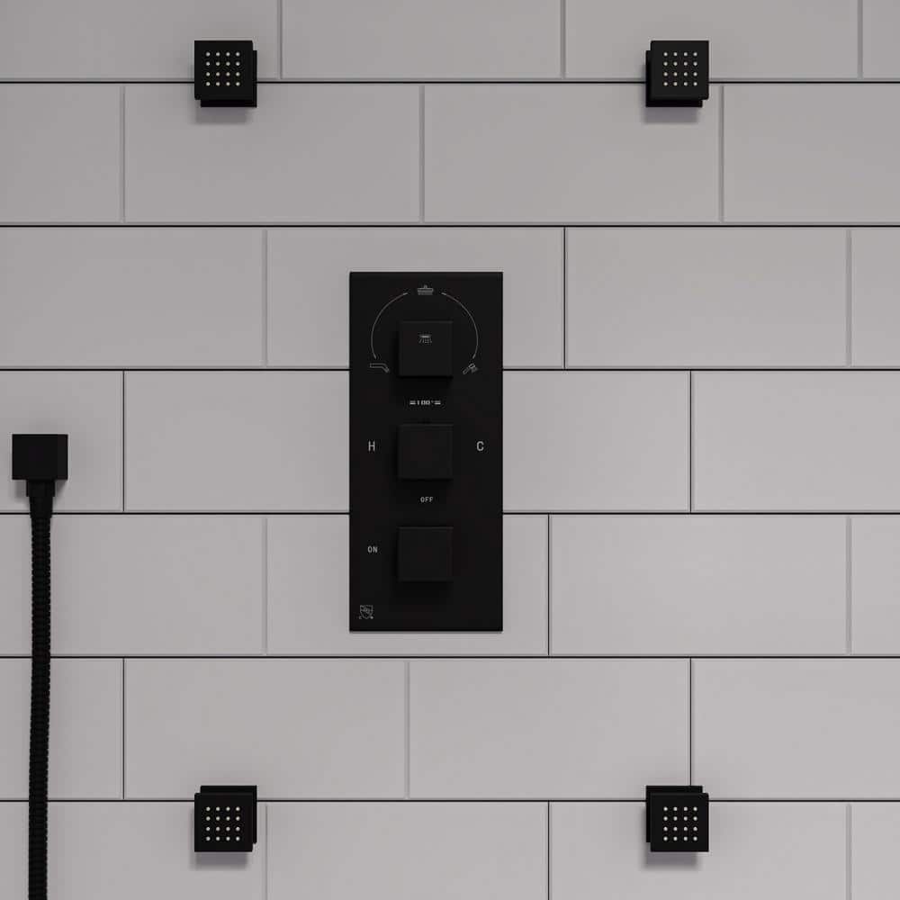 Black Matte Brass Adjustable Wall-Mounted Handshower Set