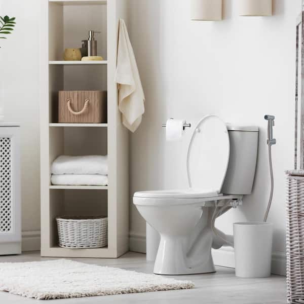 Modern Single-Function Dual-Mount Handheld Non-Electric Bidet Sprayer in Stainless Steel