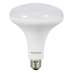 85-Watt Equivalent BR40 Dimmable LED Light Bulb in 5000K (2-Pack)