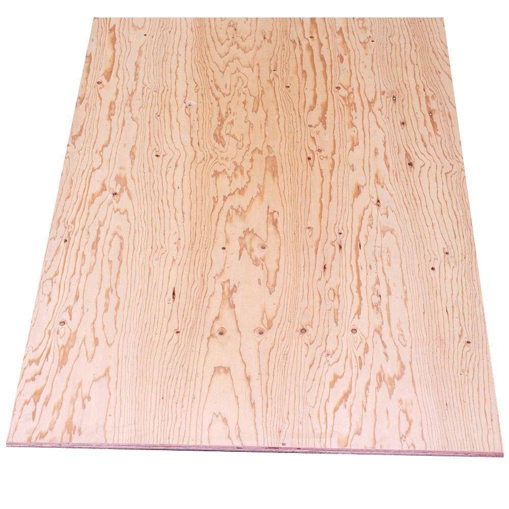 Sheathing Plywood Common 19 32 In X 4 Ft X 8 Ft Actual 0 563 In X 48 In X 96 In 407735 The Home Depot