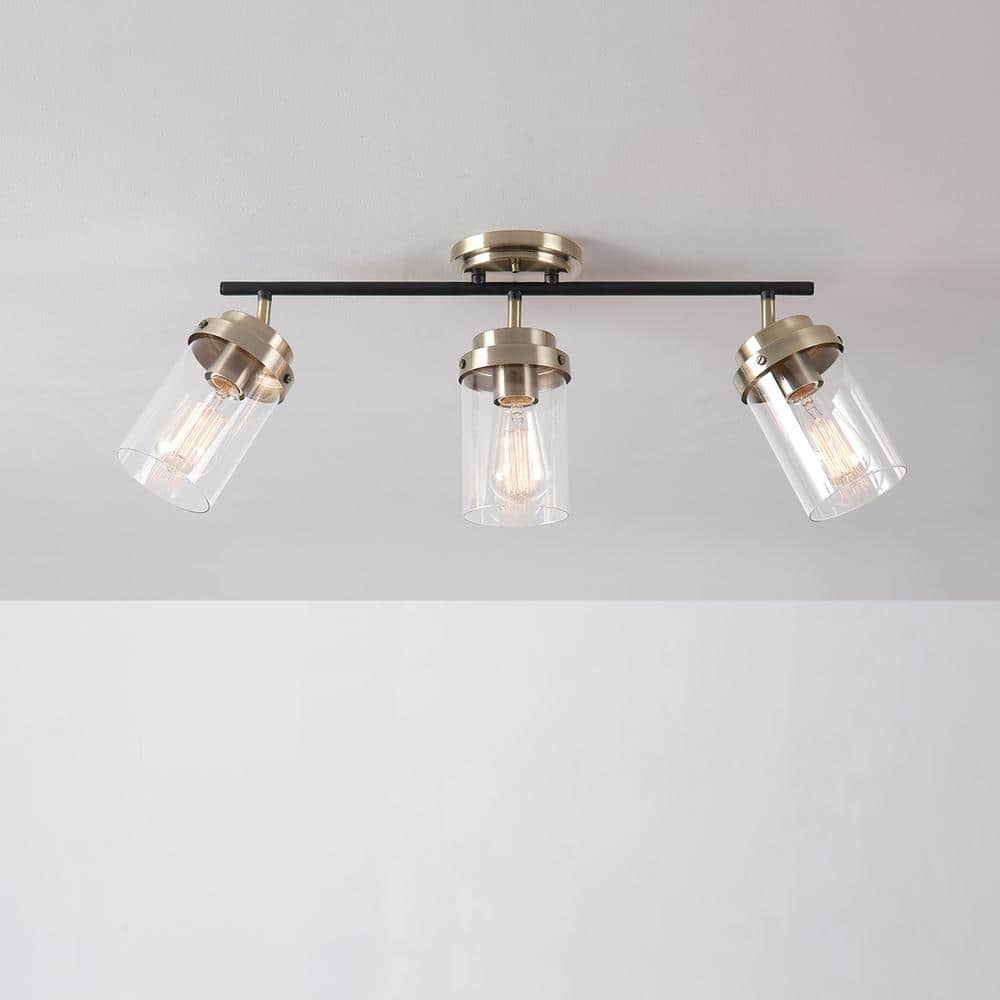 Adelaide Matte Black and Antique Brass 3-Light Track Kit with Clear Glass