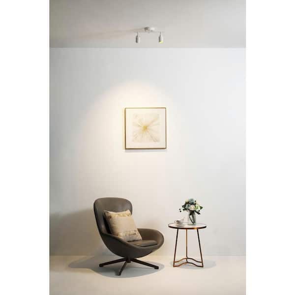 2 ft. 2-Light Indoor White Track Lighting Kit with 2-Round