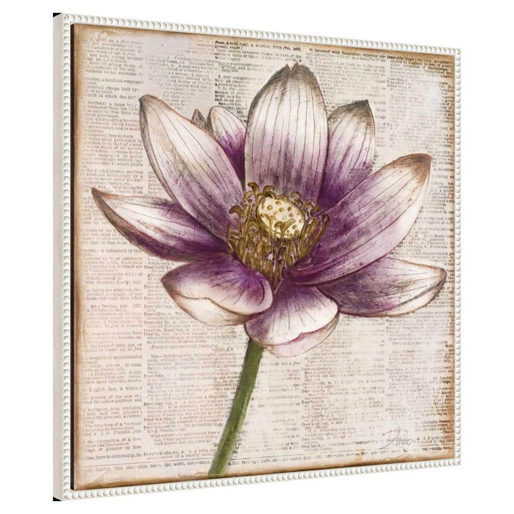 Patricia Pinto Framed Lotus Flower Canvas Art with Beaded Perimeter