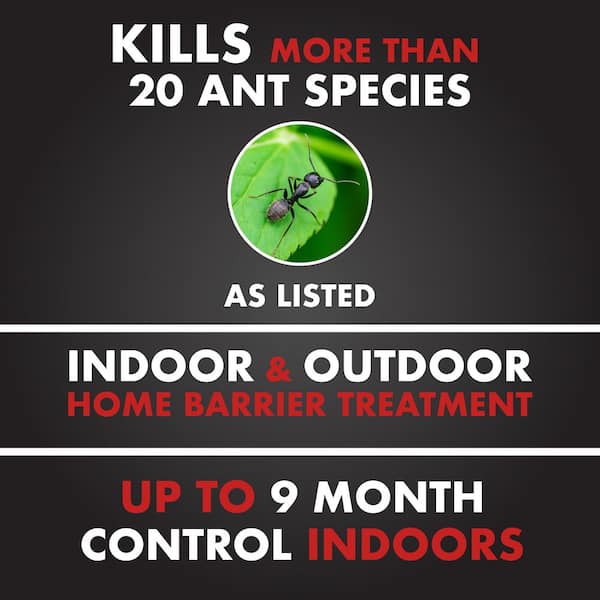 1 gal. Ant Shield Insect Killer Ready-To-Use Spray