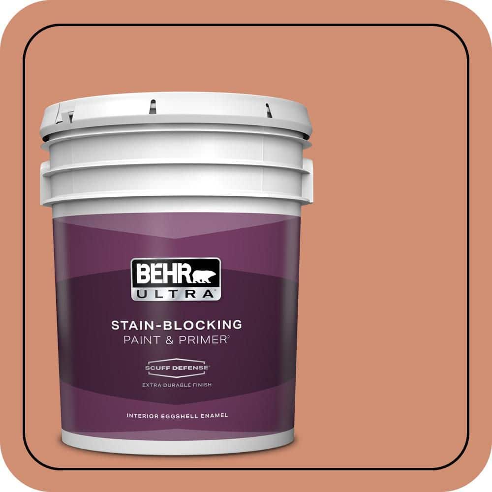 5 gal. #M200-5 Terra Cotta Clay Extra Durable Eggshell Enamel Interior Paint & Primer price history on PriceWatchPro