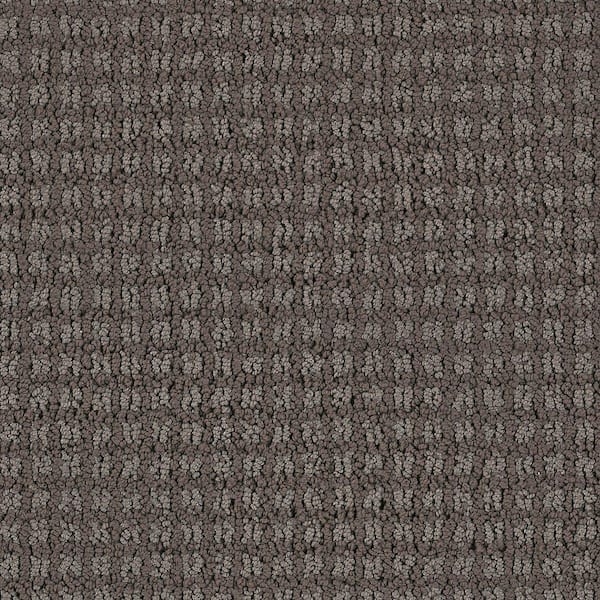 Lifeproof Carpet Sample - Persevere - Color Lubbock Loop 8 in. x 8 in.