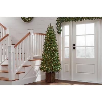 6.5 ft Blanton Douglas Fir Pre-Lit Potted Artificial Christmas Tree with 150 Clear Lights