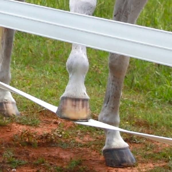 CenFlex 5 in. x 660 ft. White Flexible Rail Horse Fence