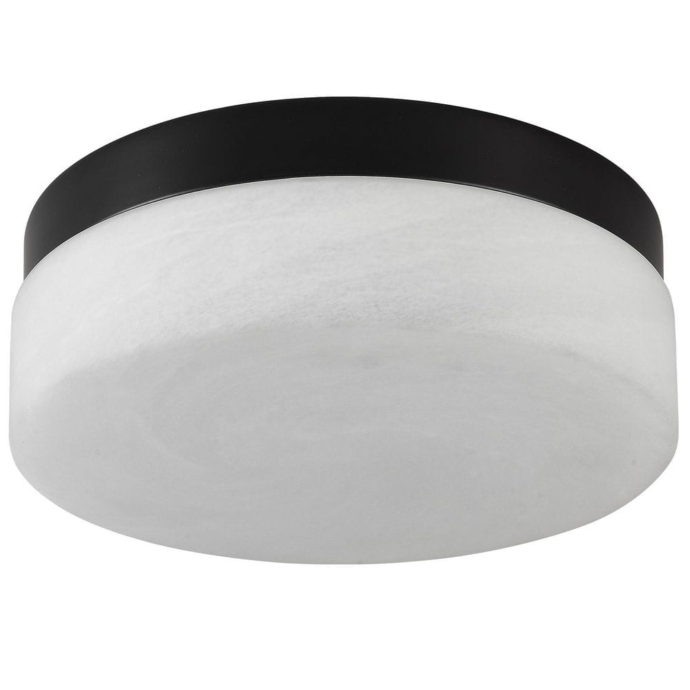 12 in. Modern Round Matte Black Integrated LED Flush Mount Disk Light Ceiling Light Fixture with Slim Shade Design price history on PriceWatchPro