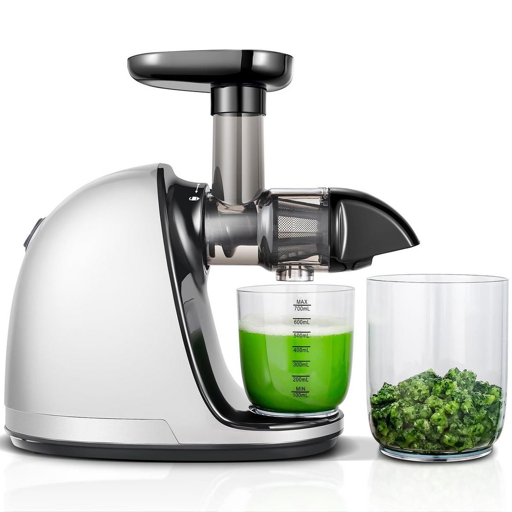 White Cold Press Juicer Machine, Slow Masticating Juicer with Reverse Function and Brush price history on PriceWatchPro