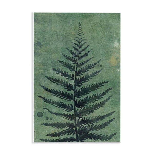 Stupell Industries Rustic Fern Impression by Lydia Orange Unframed Nature Graphic Art Print 19 in. x 13 in.