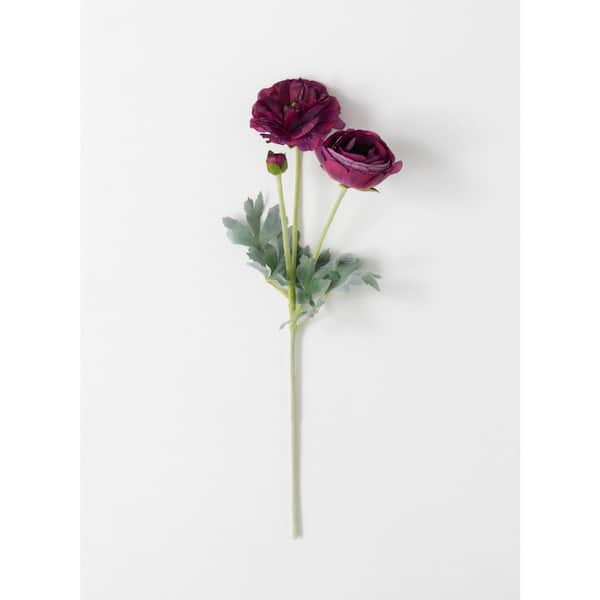 SULLIVANS 21.5 in. Artificial Burgundy Real Garden Ranunculus Stem