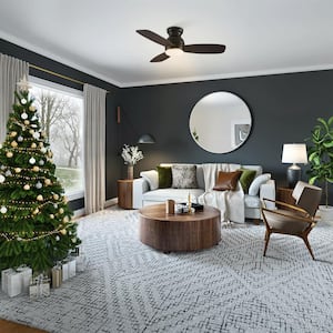 Arran 44 in. Color Changing Integrated LED Indoor Matte Black 10-Speed DC Ceiling Fan with Light Kit and Remote Control