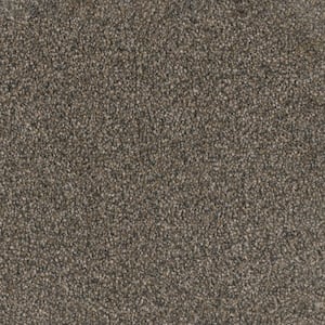 Otis - Upscale - Gray 40 oz. SD Polyester Texture Installed Carpet