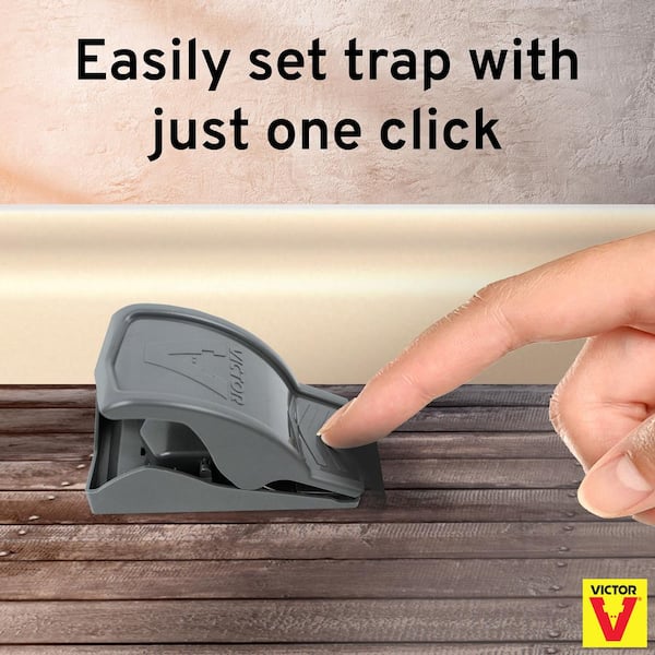 Jongleren fenomeen beheerder Victor Safe-Set Mouse Trap (6-Pack) M070-6SR - The Home Depot