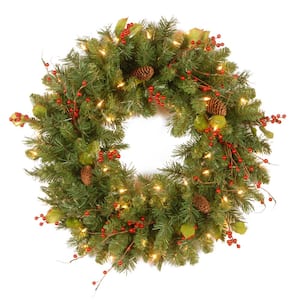 Classical Collection 24 in. Artificial Wreath with Clear Lights