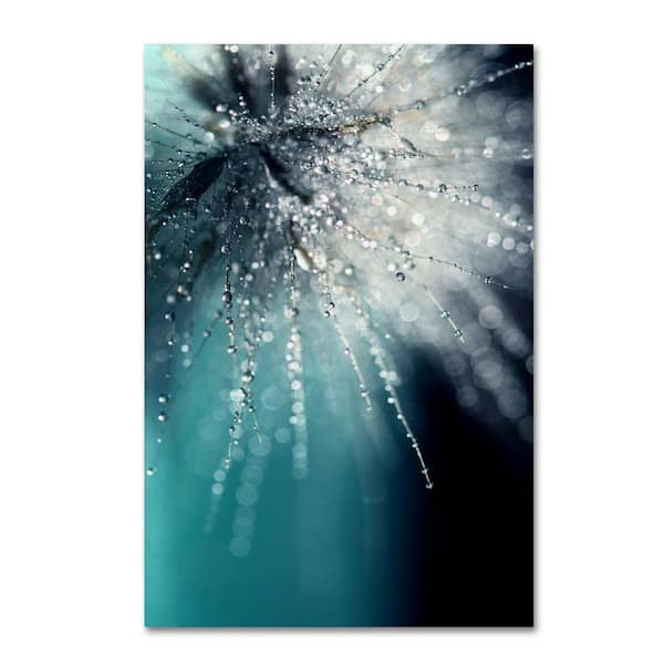 Trademark Fine Art 19 in. x 14 in. "Morning Sonata" by Beata Czyzowska Young Printed Canvas Wall Art