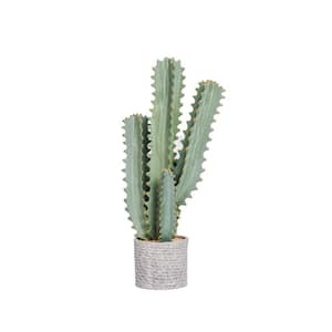 20 in. Tall Artificial Cactus
