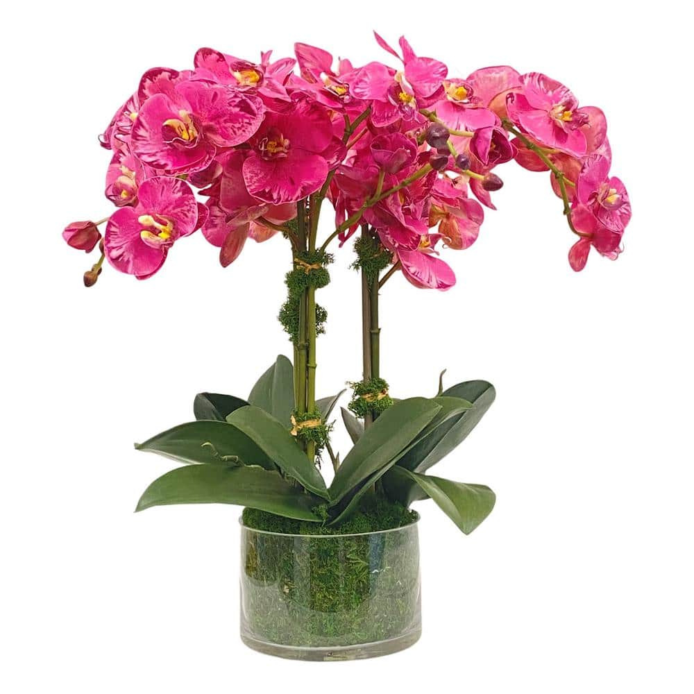 20 in. Purple Indoor Artificial Orchid in Round Glass