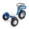 ol blue tricycle