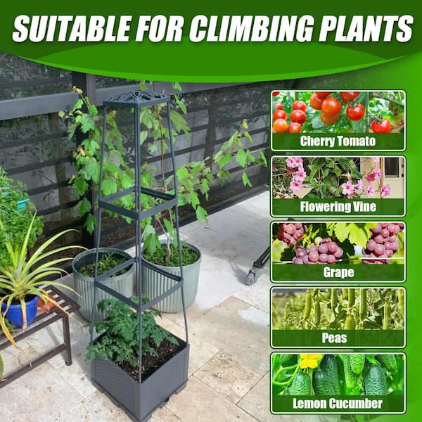 Self-Watering Raised Garden Bed Tomato Planter Box w/ Trellis 44.8 in.  Plastic Adjustable Cage Indoor Outdoor PP 2-Pack OF065PH033 - The Home Depot