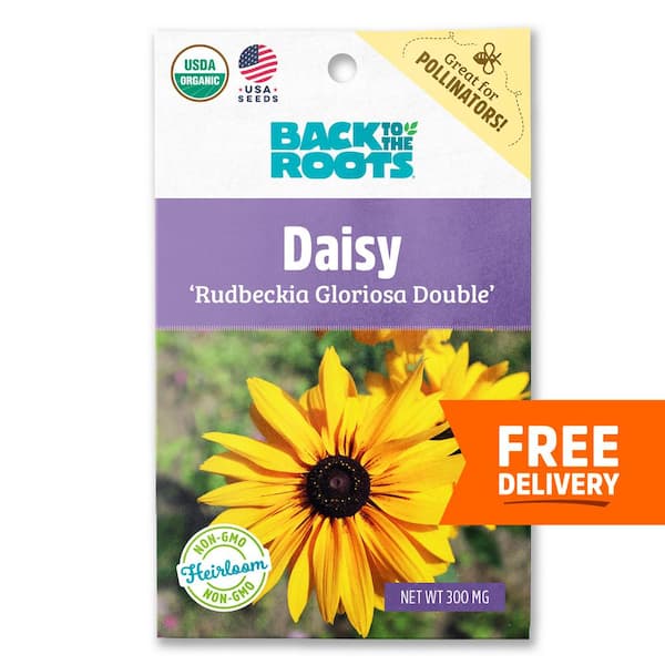 Back to the Roots Organic Daisy 'Rudbeckia Gloriosa Double' Gardening ...