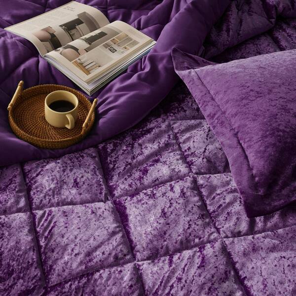 Purple Velvet on sale 10 Piece Bed in a Bag Comforter Set With Sheets, Queen-Y