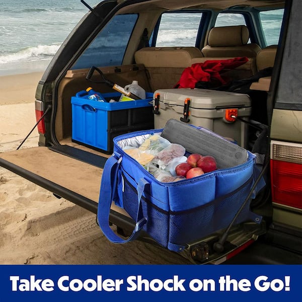 COOLER SHOCK 10 in. x 13 in. Reusable Fill and Freeze Large Cooler