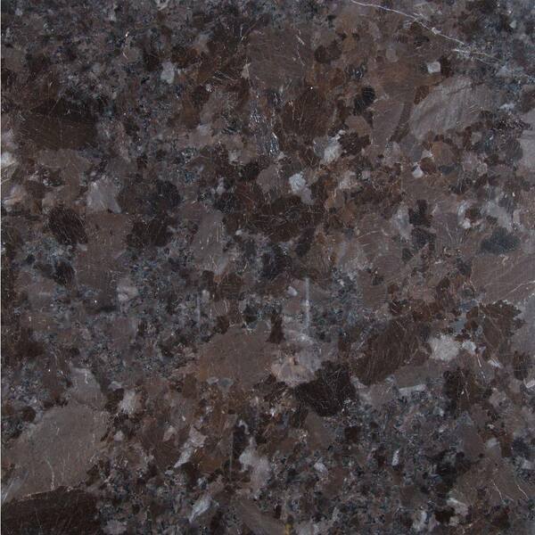 MSI Brown Antique 12 in. x 12 in. Polished Granite Floor and Wall Tile (10 sq. ft. / case)
