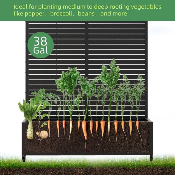 SpassWay 6 ft. H x 4 ft. W Metal Planter Box with Trellis Black