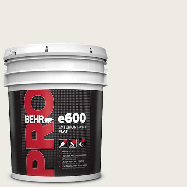 BEHR PRO 5 gal. #PPU24-14 White Moderne Flat Exterior Paint