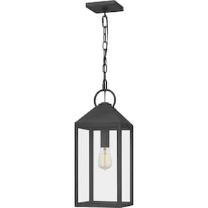 Thorpe 8 in. 1-Light Mottled Black Outdoor Pendant-Light with Clear Tempered Glass