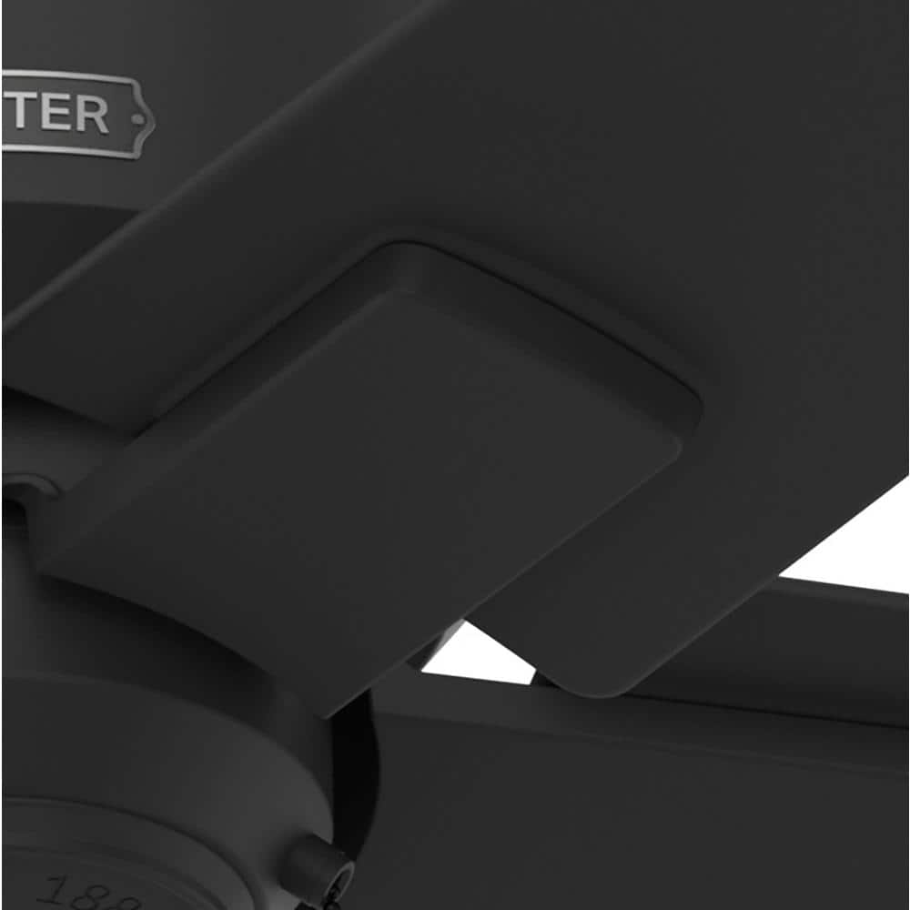Terrace Cove Matte Black 44" Low Profile Ceiling Fan with 5 Blades