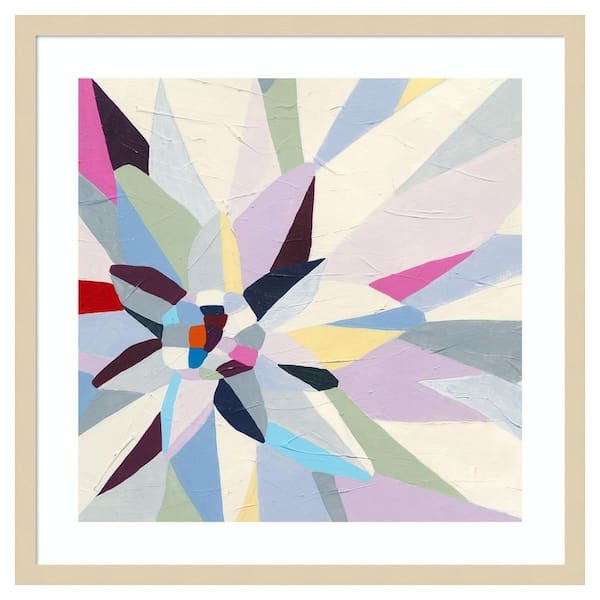 Amanti Art Geometric Dahlia I by June Erica Vess 1 Piece Framed Giclee Abstract Art Print 25 in. x 25 in.