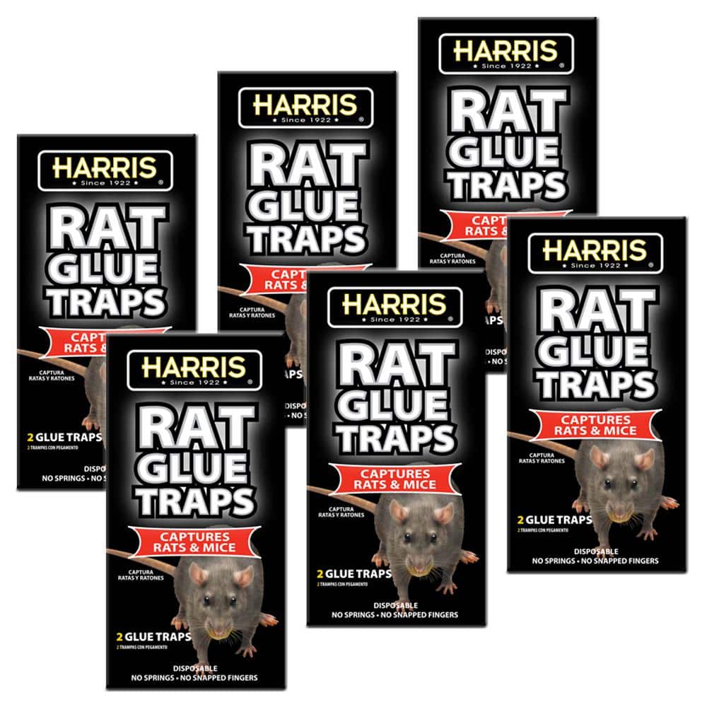 Harris Rat and Mouse Glue Trap Rodent Trap (Non-Lethal) in the Animal &  Rodent Control department at