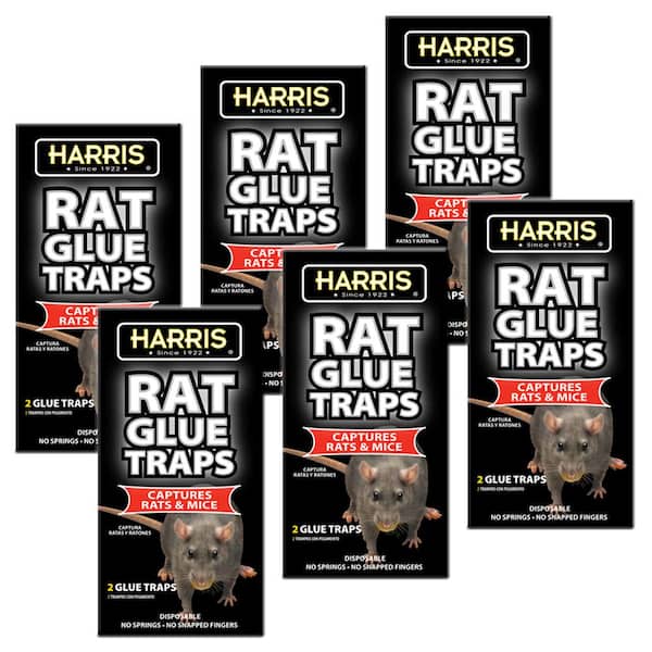 Harris Reusable Plastic Mouse Trap (24-Pack)