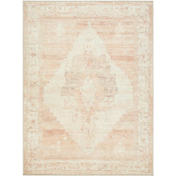 Becki Owens Luca Dusty Pink Oriental 4 ft. x 6 ft. Indoor Area Rug