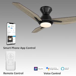 Tilbury II 52 in. Integrated LED Indoor/Outdoor Black Smart Ceiling Fan with Light&Remote, Works with Alexa/Google Home