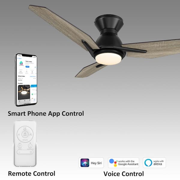 Tilbury II 52 in. Integrated LED Indoor/Outdoor Black Smart Ceiling Fan with Light&Remote, Works with Alexa/Google Home