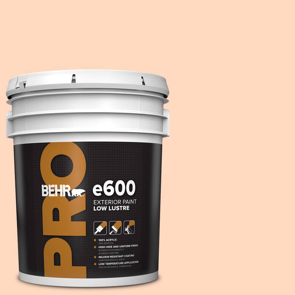5 gal. #240A-2 Sunkissed Peach Low Luster Exterior Paint price history on PriceWatchPro